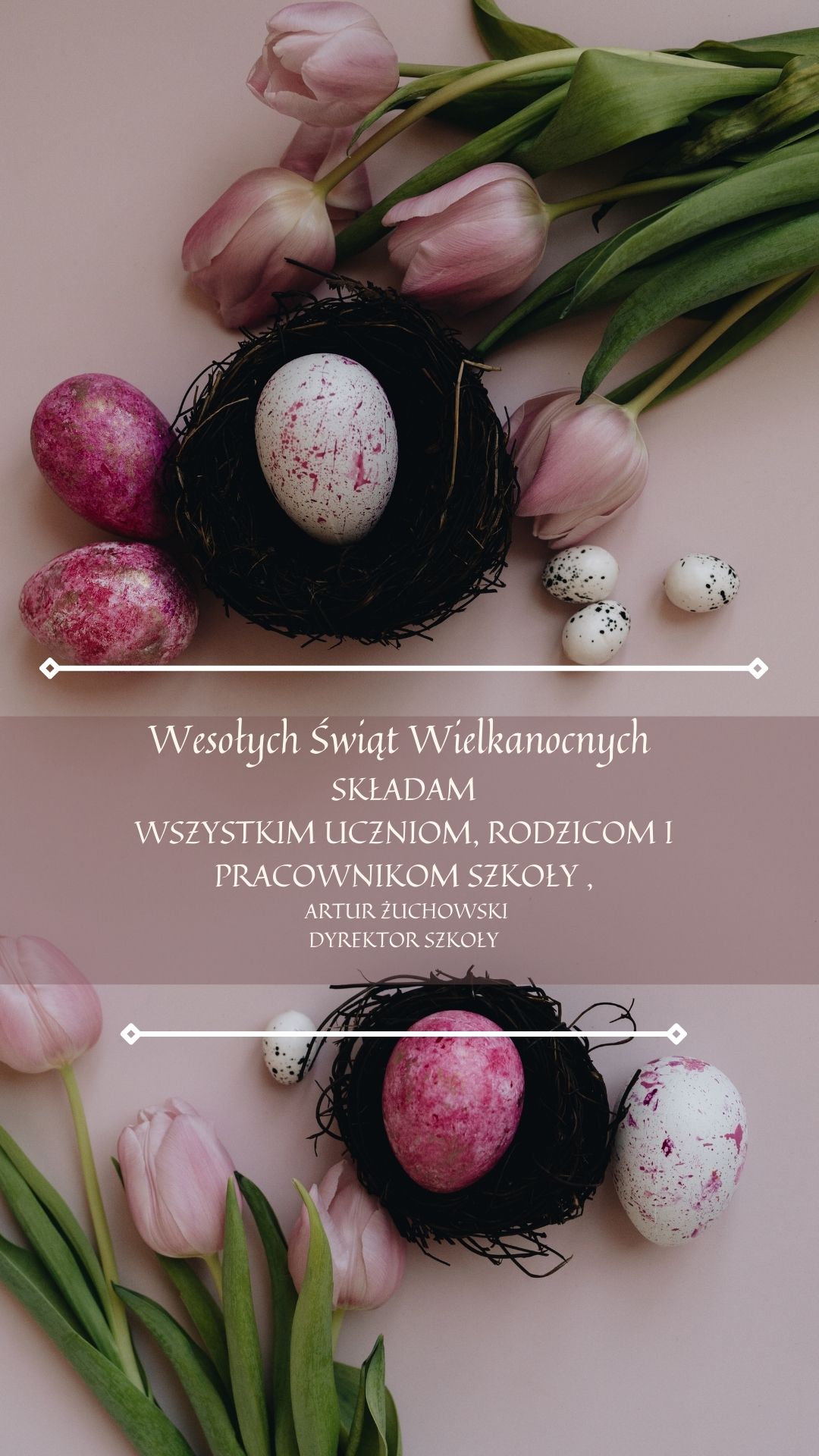 Różowo Zielona Wielkanocna z Pisankami i Tulipanami Relacja na Instagram